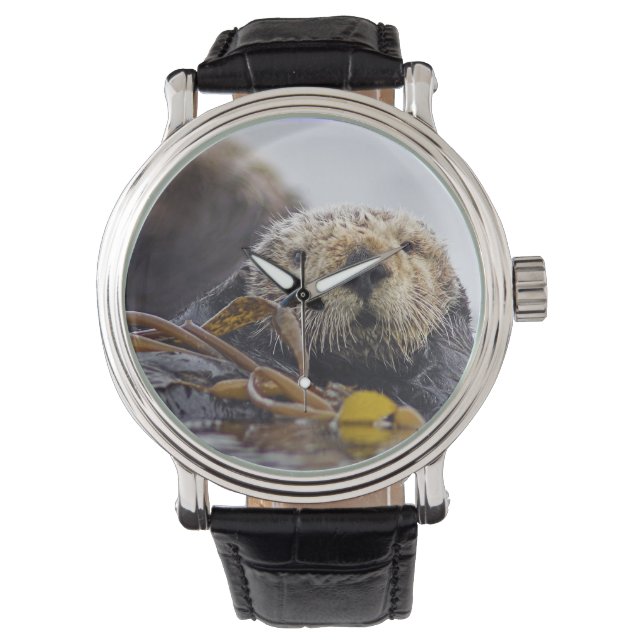 Relógio De Pulso Otter Surprise Watch (Frente)