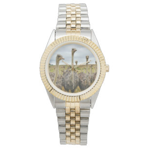 Relógio De Pulso Pássaro da avestruz