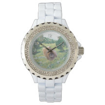 Pekingese em um campo