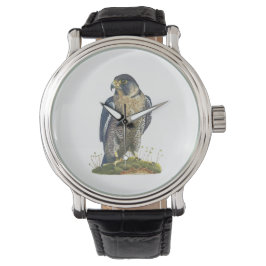 Relógio de pulso preso Peregrine Falcon Leather