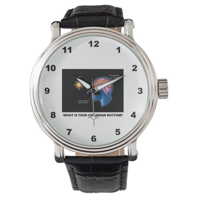 Relógio De Pulso Qual É O Seu Ritmo Circadiano? (Frente)