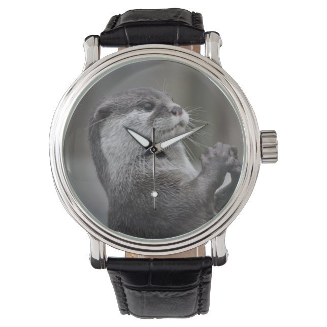 Relógio De Pulso Rio Otter (Frente)