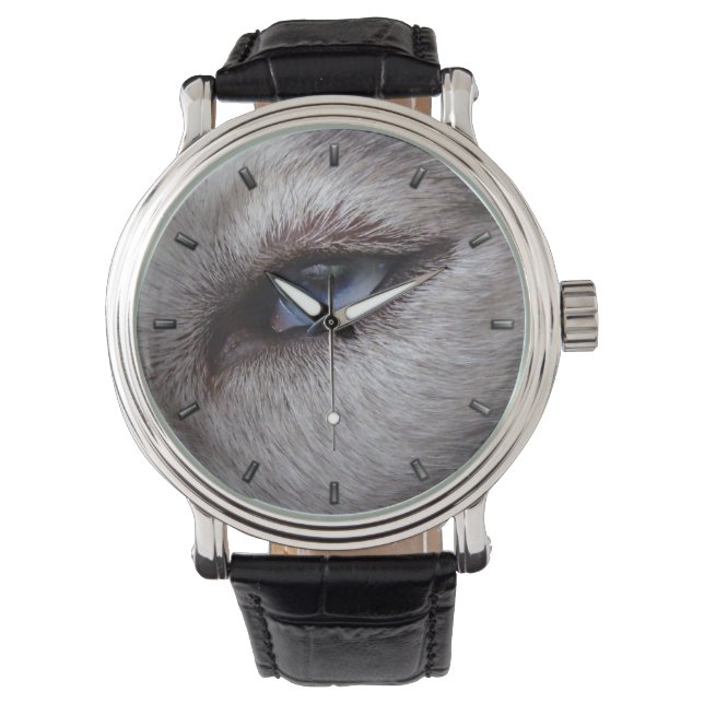 Relógio De Pulso Rouco Watch Siberian Husky Malamuute Wrist Watch (Frente)