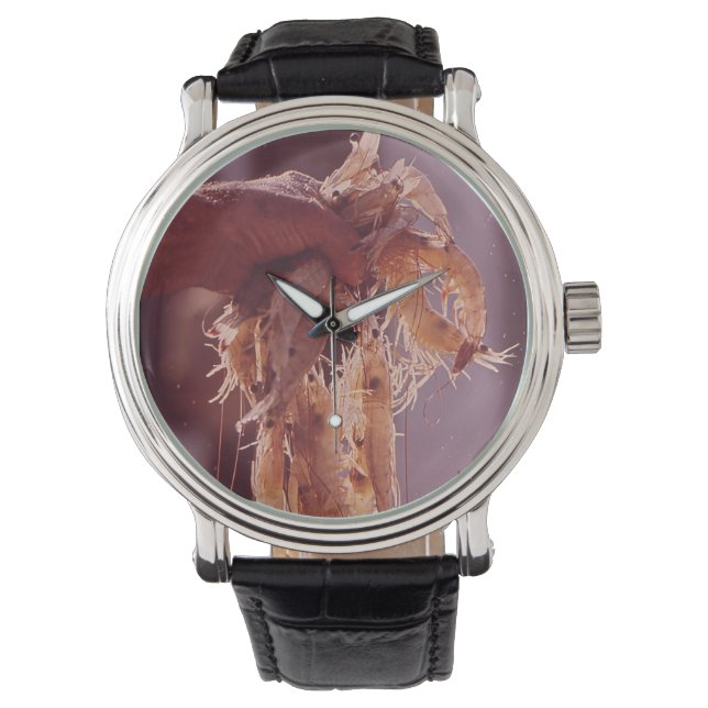 Relógio De Pulso Um punhado de camarão (Frente)