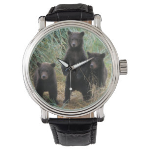 Relógio De Pulso urso marrom, arctos do Ursus, urso de urso, Ursus