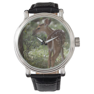 Relógio De Pulso Veado branco, Odocoileus virginianus