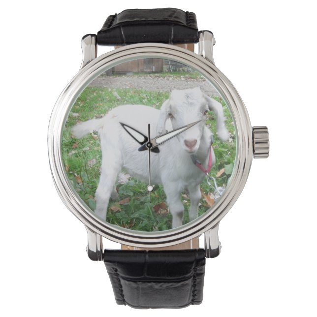 Relógio De Pulso White Goat Watch (Frente)