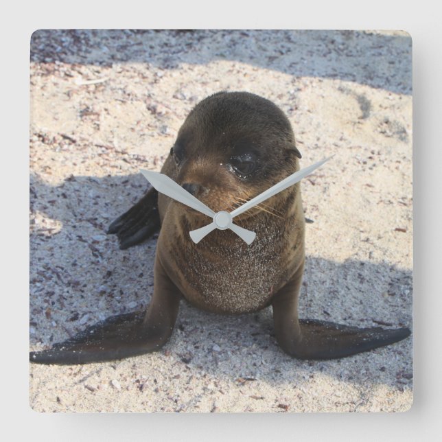 Relógio de Selo (Frente)