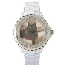 Descanso b**** cara gato