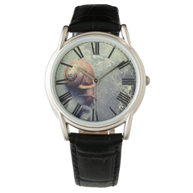 Relógio Em um Rastreio de Caracóis (Frente)