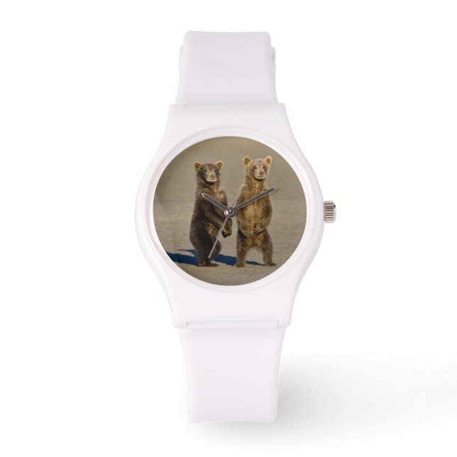 Relógio EUA. Alasca. Ursos castanhos costeiros (Frente)