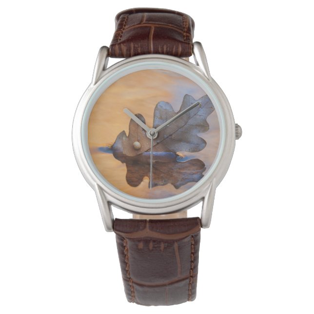 Relógio EUA, Novo México. Folha de carvalho no riacho (Frente)