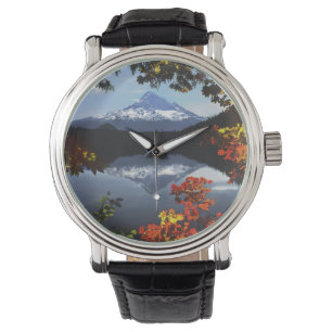 Relógio EUA, Oregon, Floresta Nacional do Monte Hood.