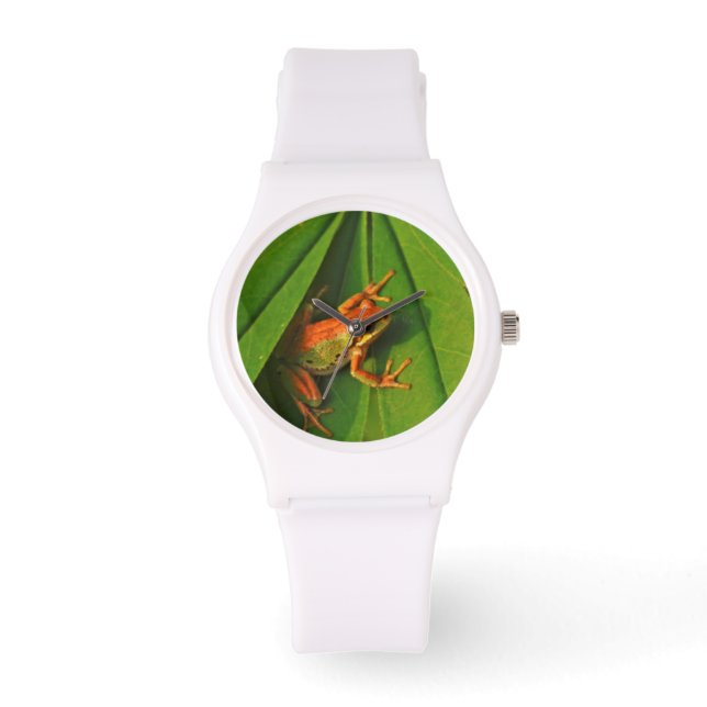 Relógio EUA, Washington, Seattle, Discovery Park 2 (Frente)