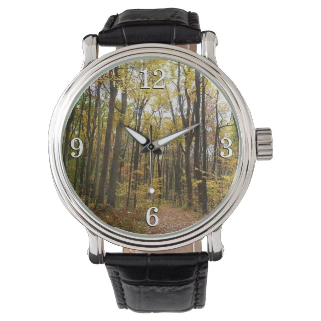 Relógio Fall Trail and Ouro Leaves no Laurel Hill Park (Frente)