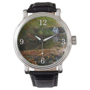 Relógio Fall Waterfall e Creek Pennsylvania Nature Photo