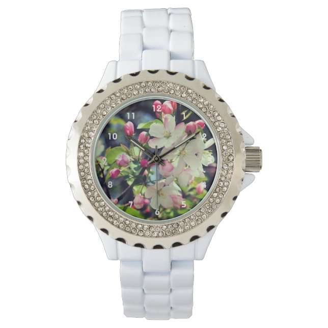 Relógio Fechos de Caranguejo de Primavera inicial 3 Fechar (Frente)