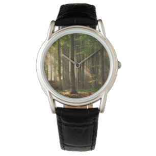 Relógio Forests Autumn Forest