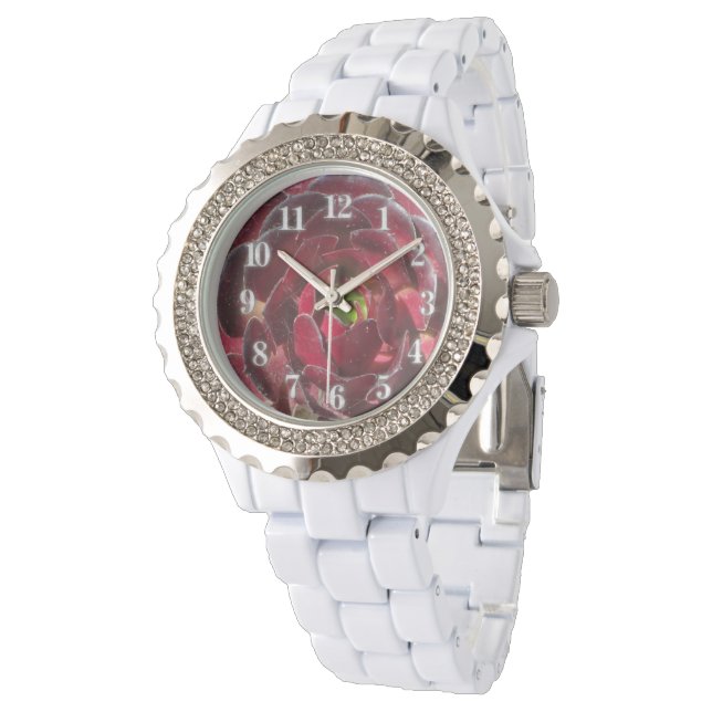 Relógio Foto da Fábrica Costeira Red Burgundy Suculente (Angular)