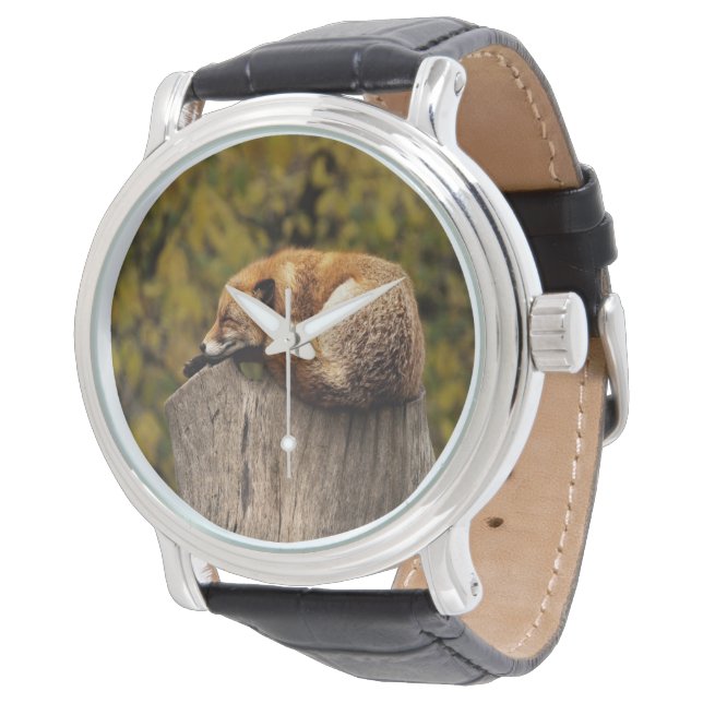 Relógio Foto da raposa que dorme (Angular)