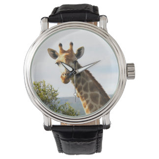 Relógio Foto de uma girafa masculina em Safari