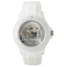 Foto e nome do cão de retenção do Ouro personaliza