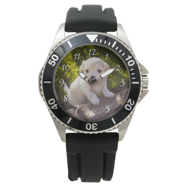 Relógio Foto Pet Stainless Steel Black Bber Strap Watch (Frente)