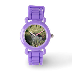 Relógio Gato Negro E Branco No Jardim,