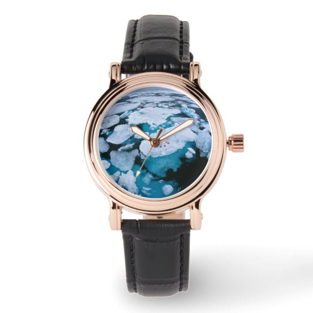 Relógio Gelo e neve | Urso Polar, Oceano Ártico, Svalbard (Frente)