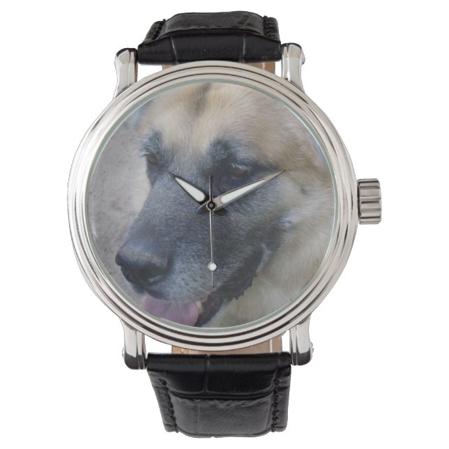 Relógio German shepherd Watch (Frente)