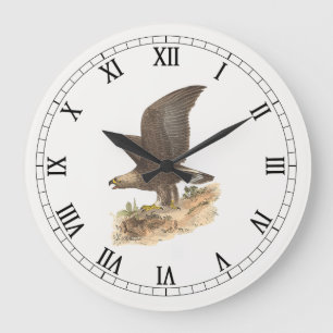 Relógio Grande A Águia Ouro (Aquila chrysaetos) NY Imagem do Páss