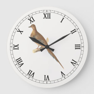 Relógio Grande A Dove de Luto (Carolina Turtle Dove) NY Aves