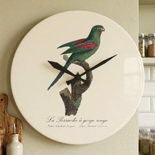 Relógio Grande A periquita-de-garganta-vermelha