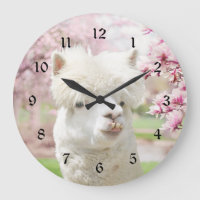 Alpaca branca