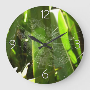 Relógio Grande Aranha-do-mar na Natureza das Folhas Tropicais