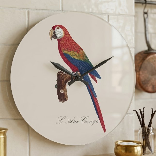 Relógio Grande Arara-vermelha, Ara macao (Scarlet Macaw or Red-Breasted Macaw, Ara macao. Large Clock )
