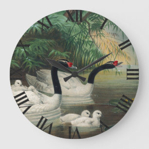 Relógio Grande Arte Vintage da Família Swan Selvagem de Pescoço N