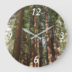 Relógio Grande Até Redwoods II no Monumento Nacional de Muir Woo