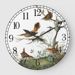 Relógio Grande Audubon Wren Birds Wildlife Animal Wall Clock