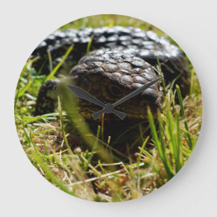 Relógio Grande Australiano Lizard (Stumpy)  