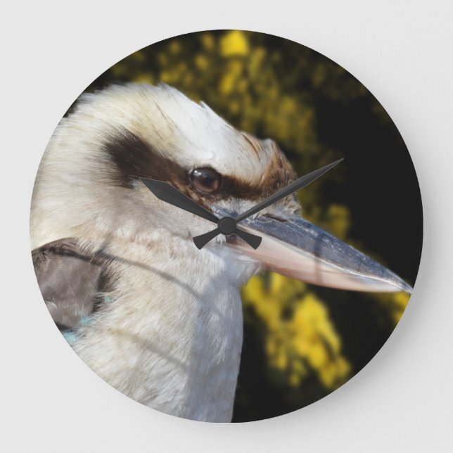 Relógio Grande Australiano Ria Kookaburra  (Frente)