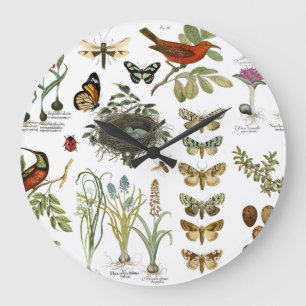 Relógio Grande aves botânicas e flores da frança moderna e antiga