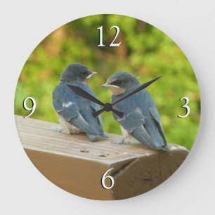 Relógio Grande Baby Barn Swallow Nature Bird Fotografia