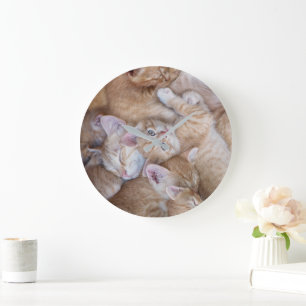 Relógio Grande Bebês Mais Pobres   Película De Gato Laranja