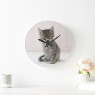 Relógio Grande Bebês Mais Pobres Tabby Kitten De Licença