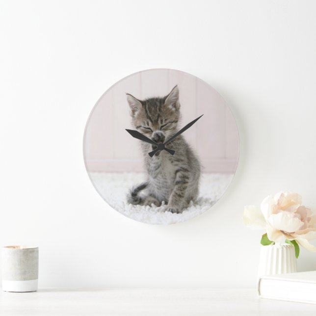 Relógio Grande Bebês Mais Pobres | Tabby Kitten De Licença (Lar)