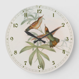 Relógio Grande Beija-flor Avocet de cauda roxa por John Gould