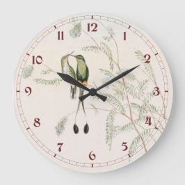 Relógio Grande Beija-flores Spathura Peruana por John Gould