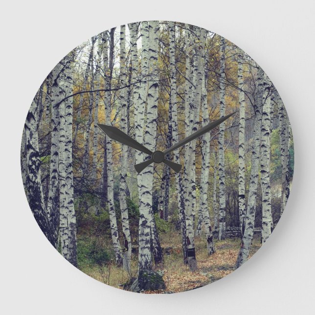 Relógio Grande Birch Forrest Autumn Photo Round  Wall Clock (Frente)