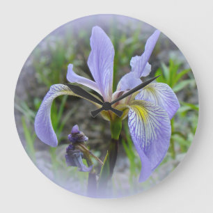 Relógio Grande Blue Flag - Wild Iris